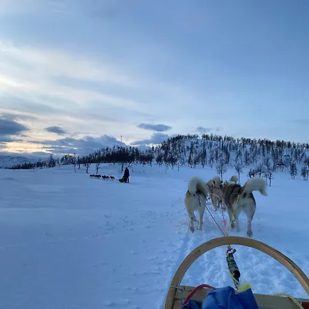 Rognan Hotel 3* Rognan