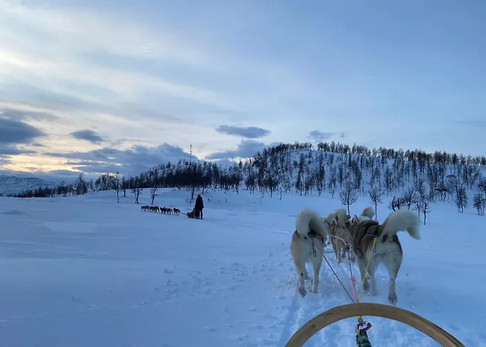 Rognan Hotel 3* Rognan